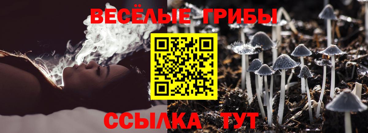 Галлюциногенные грибы Psilocybine cubensis  Вход с VPN  Югорск  Галлюциногенные грибы Psilocybe 