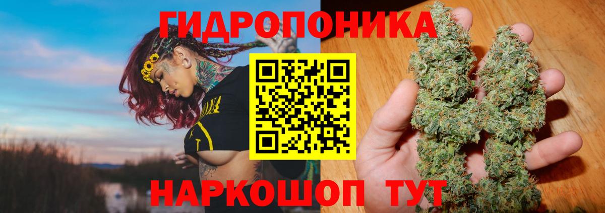 Канабис сатива  Шишки марихуана планчик  Вход с VPN  Югорск  Конопля AK-47 
